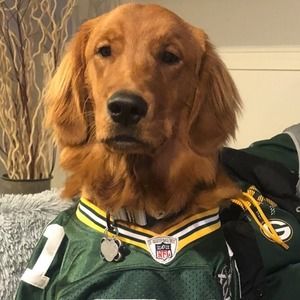 Meet your Posher, Sean